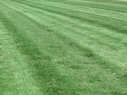 EverGreen Lawn Care Omaha, IL