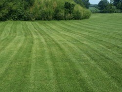 EverGreen Lawn Care Ridgway, IL