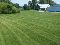 EverGreen Lawn Care Harrisburg, IL