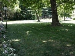 EverGreen Lawn Care Eldorado, IL