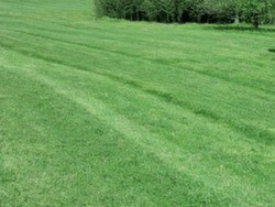 EverGreen Lawn Care Harrisburg, IL