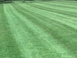 EverGreen Lawn Care Ridgway, IL