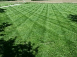 EverGreen Lawn Care Harrisburg, IL